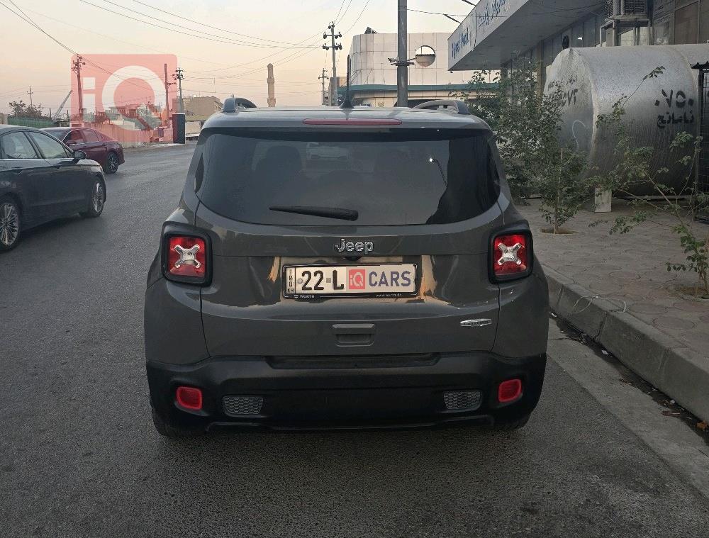 جيب رينيجيد